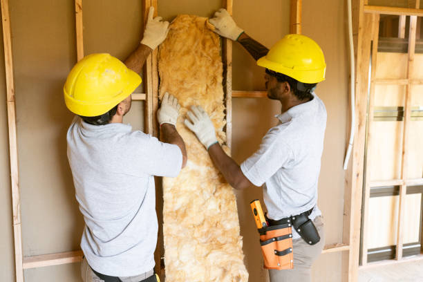 Best Commercial Insulation Services  in Erwin, NC