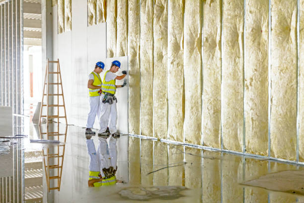 Best Spray Foam Insulation  in Erwin, NC